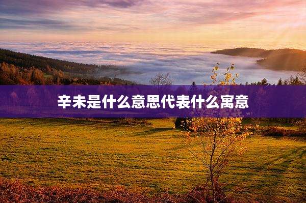 辛未是什么意思代表什么寓意