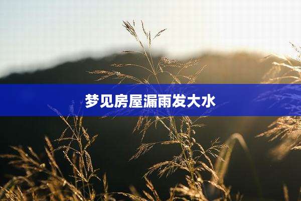 梦见房屋漏雨发大水