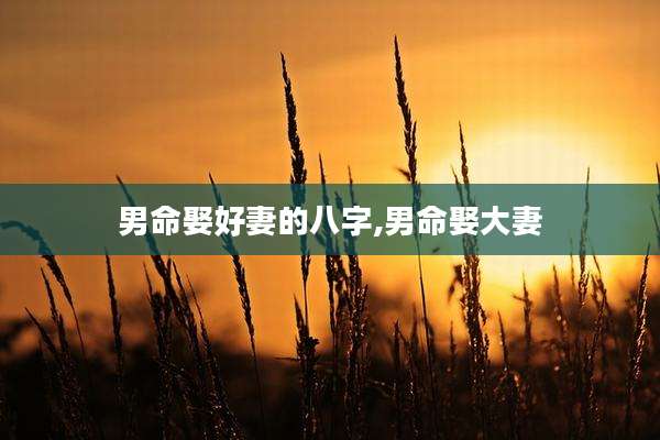 男命娶好妻的八字,男命娶大妻