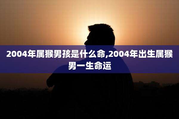 2004年属猴男孩是什么命,2004年出生属猴男一生命运