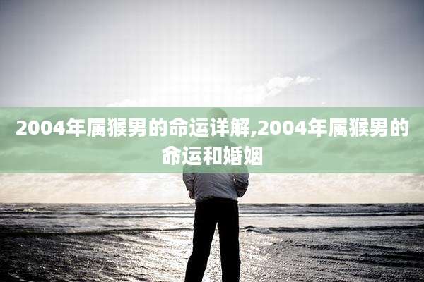 2004年属猴男的命运详解,2004年属猴男的命运和婚姻