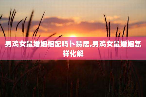 男鸡女鼠婚姻相配吗卜易居,男鸡女鼠婚姻怎样化解