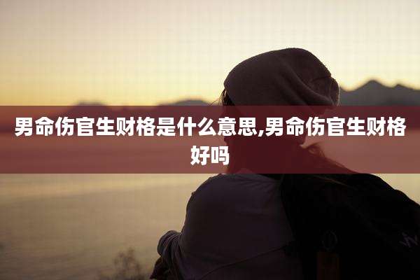 男命伤官生财格是什么意思,男命伤官生财格好吗