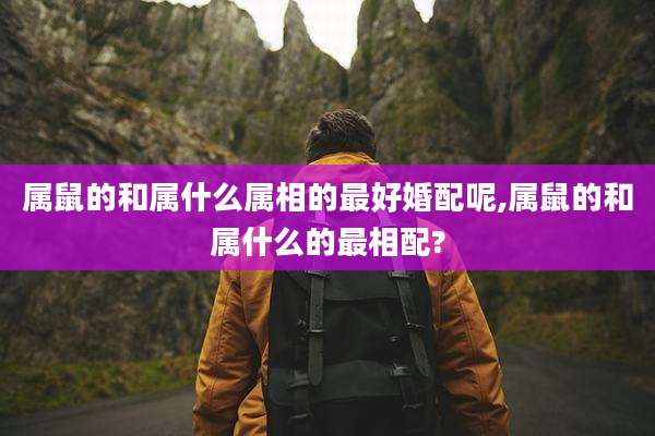 属鼠的和属什么属相的最好婚配呢,属鼠的和属什么的最相配?