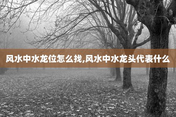 风水中水龙位怎么找,风水中水龙头代表什么