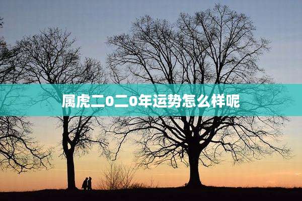 属虎二0二0年运势怎么样呢