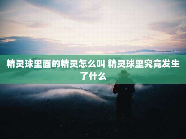 精灵球里面的精灵怎么叫 精灵球里究竟发生了什么