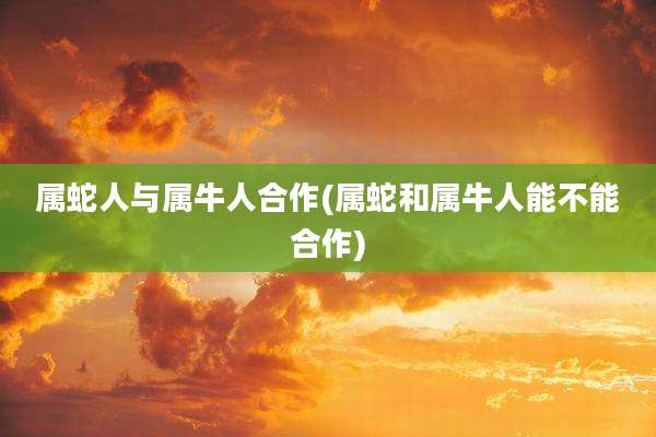 属蛇人与属牛人合作(属蛇和属牛人能不能合作)