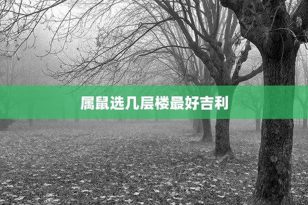 属鼠选几层楼最好吉利
