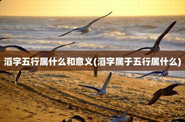 滔字五行属什么和意义(滔字属于五行属什么)