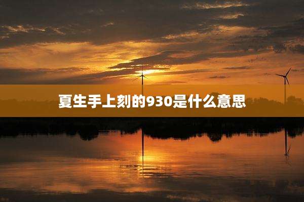 夏生手上刻的930是什么意思