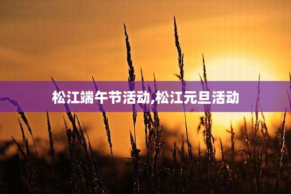 松江端午节活动,松江元旦活动