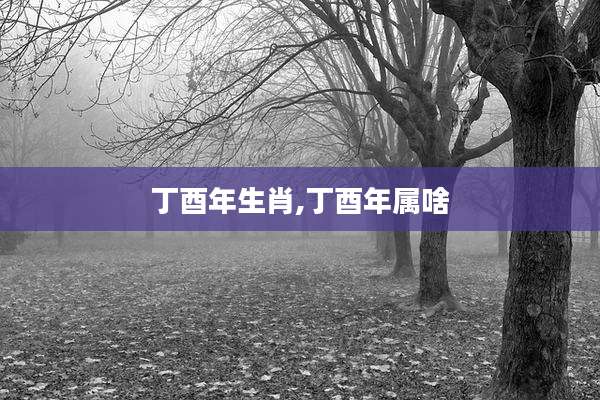 丁酉年生肖,丁酉年属啥