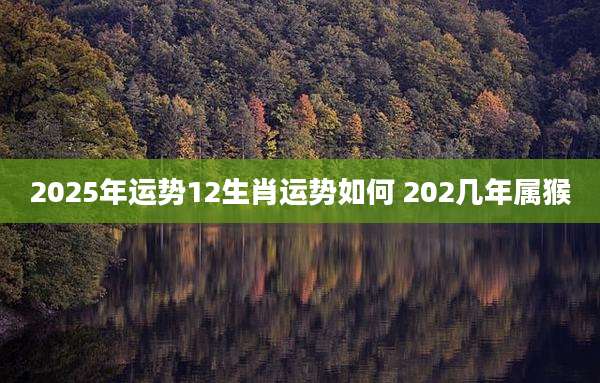 2025年运势12生肖运势如何 202几年属猴