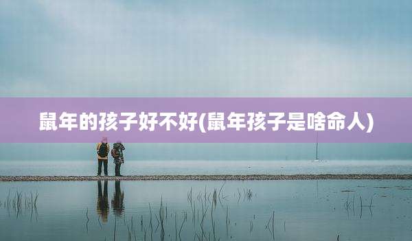 鼠年的孩子好不好(鼠年孩子是啥命人)