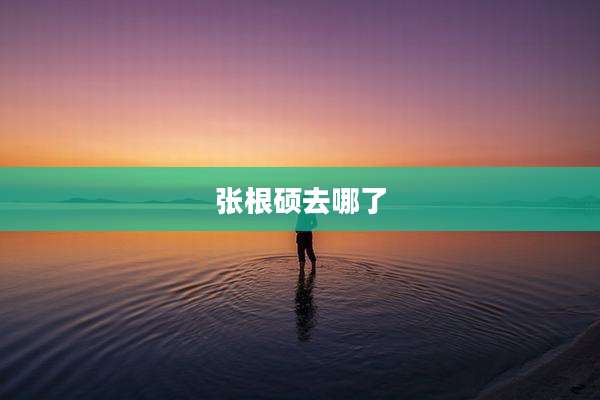 张根硕去哪了