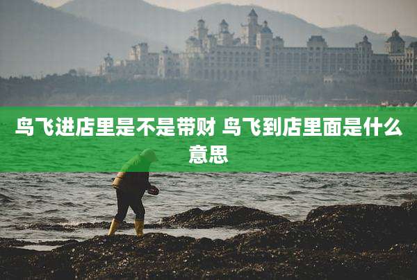 鸟飞进店里是不是带财 鸟飞到店里面是什么意思