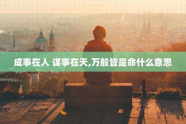 成事在人 谋事在天,万般皆是命什么意思
