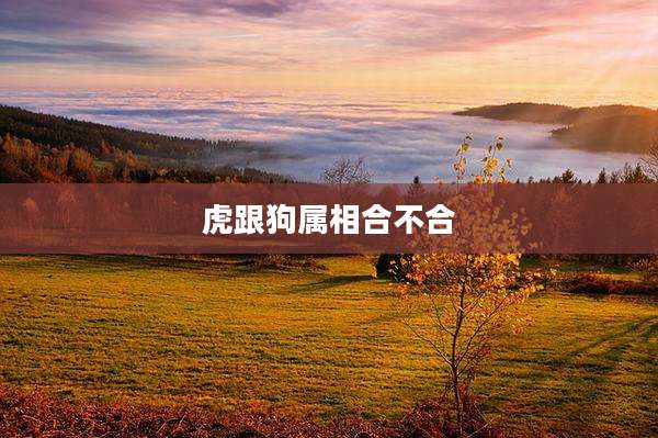 虎跟狗属相合不合