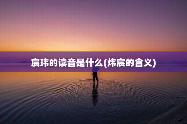 宸玮的读音是什么(炜宸的含义)