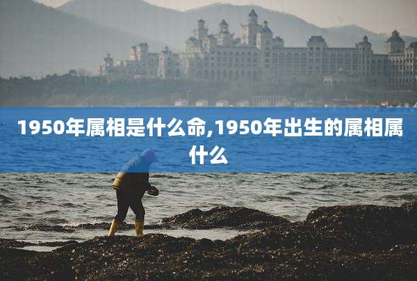 1950年属相是什么命,1950年出生的属相属什么
