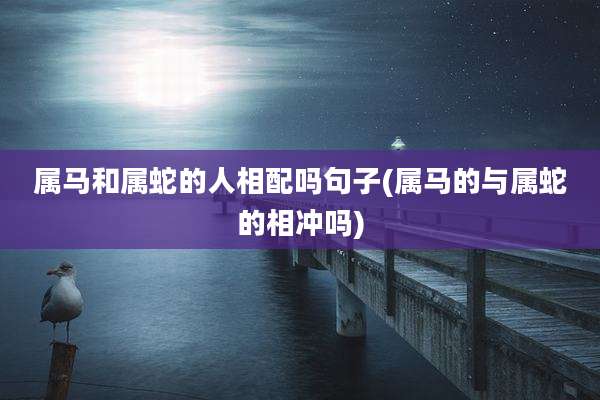属马和属蛇的人相配吗句子(属马的与属蛇的相冲吗)