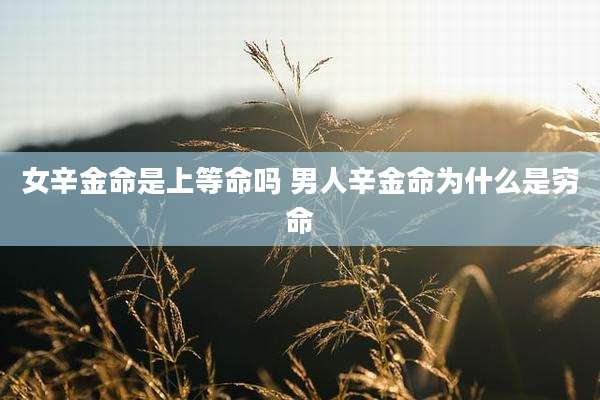 女辛金命是上等命吗 男人辛金命为什么是穷命