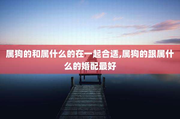 属狗的和属什么的在一起合适,属狗的跟属什么的婚配最好