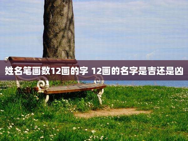 姓名笔画数12画的字 12画的名字是吉还是凶