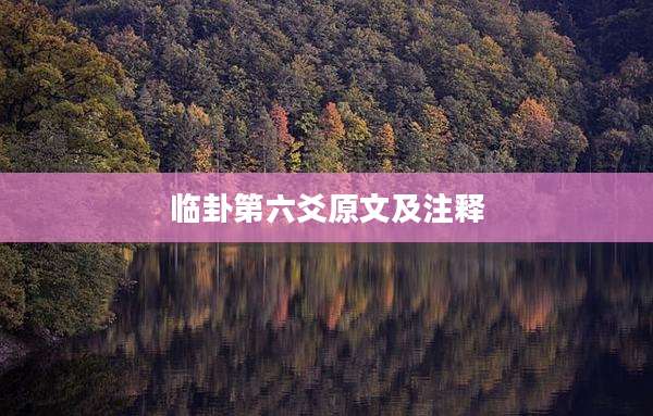 临卦第六爻原文及注释