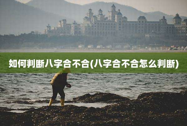 如何判断八字合不合(八字合不合怎么判断)