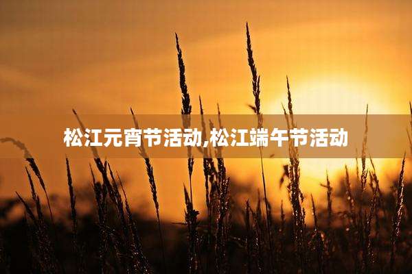 松江元宵节活动,松江端午节活动