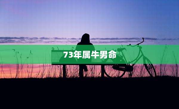 73年属牛男命