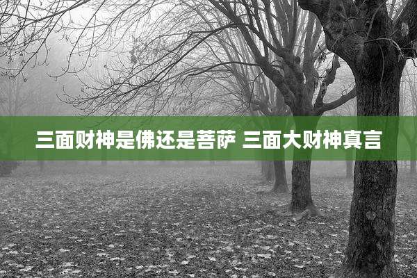 三面财神是佛还是菩萨 三面大财神真言