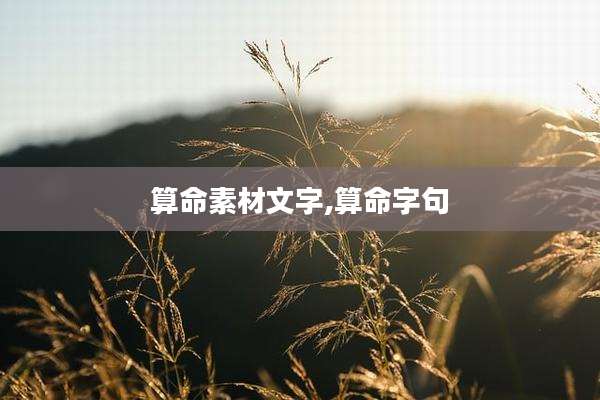 算命素材文字,算命字句