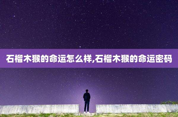 石榴木猴的命运怎么样,石榴木猴的命运密码