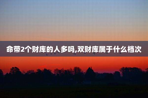 命带2个财库的人多吗,双财库属于什么档次
