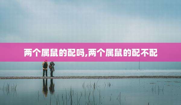 两个属鼠的配吗,两个属鼠的配不配