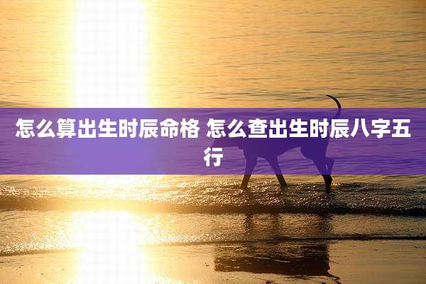 怎么算出生时辰命格 怎么查出生时辰八字五行