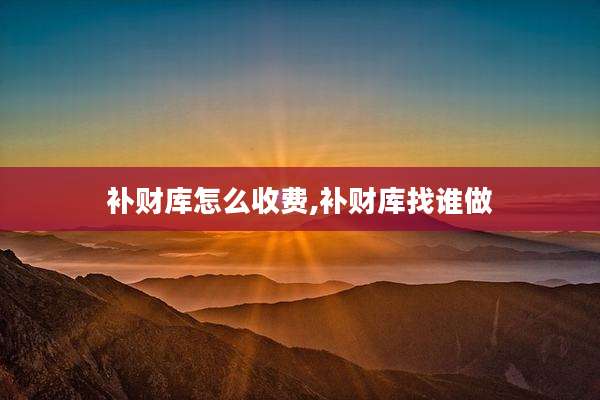 补财库怎么收费,补财库找谁做