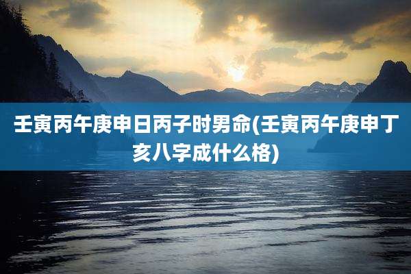 壬寅丙午庚申日丙子时男命(壬寅丙午庚申丁亥八字成什么格)