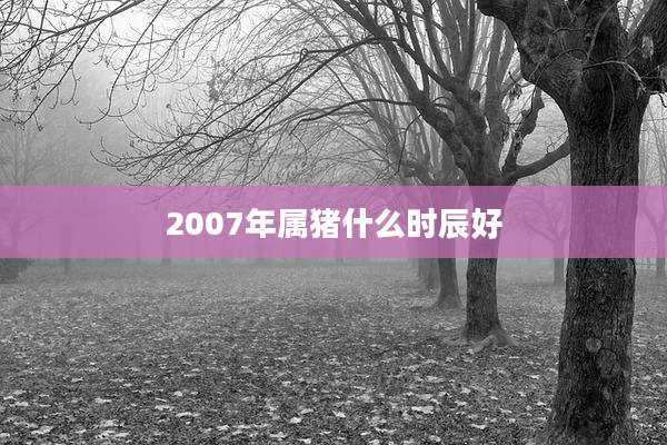 2007年属猪什么时辰好
