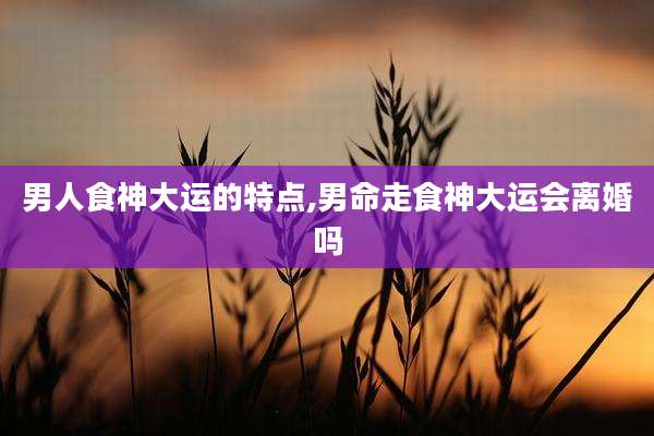 男人食神大运的特点,男命走食神大运会离婚吗