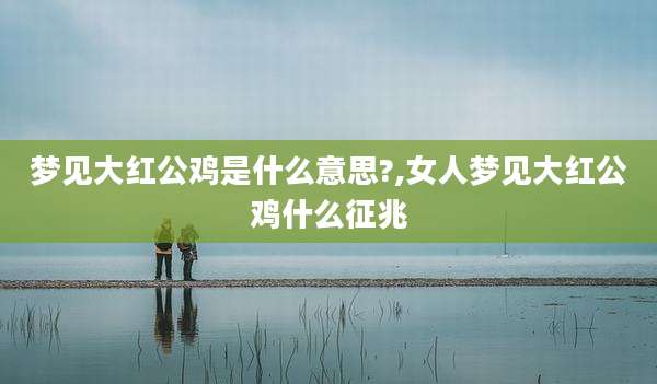 梦见大红公鸡是什么意思?,女人梦见大红公鸡什么征兆