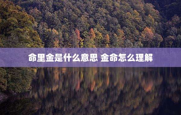 命里金是什么意思 金命怎么理解