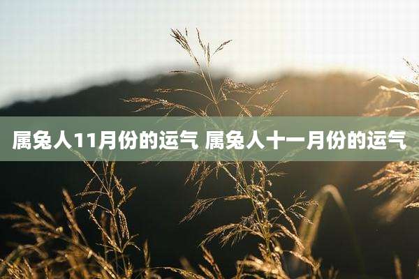 属兔人11月份的运气 属兔人十一月份的运气