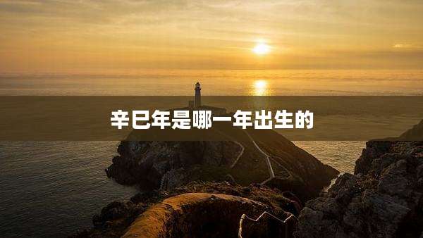 辛巳年是哪一年出生的