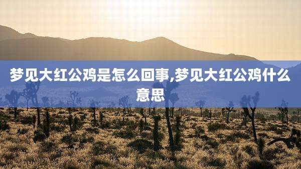梦见大红公鸡是怎么回事,梦见大红公鸡什么意思