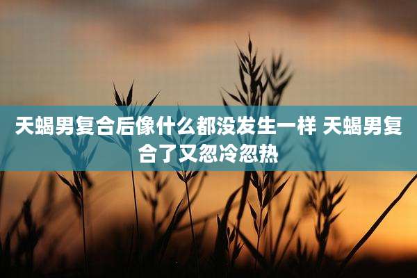 天蝎男复合后像什么都没发生一样 天蝎男复合了又忽冷忽热