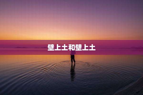 壁上土和壁上土